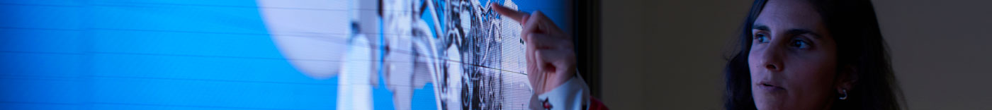 Bild zu Case Management Specialist